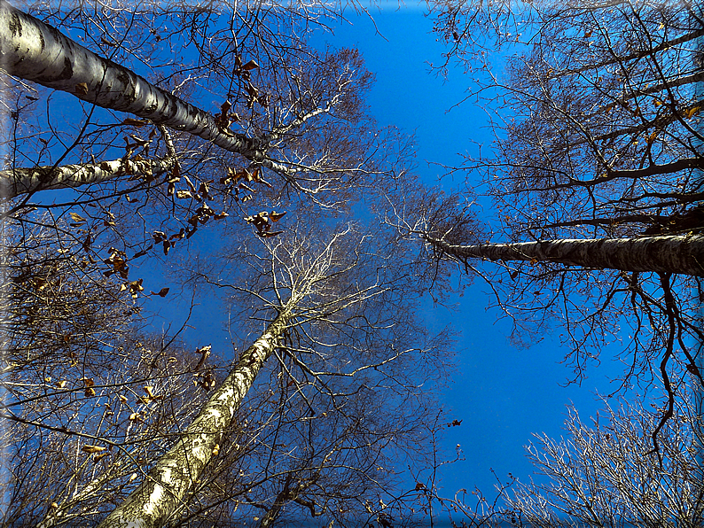 foto Da Possagno a Cima Grappa